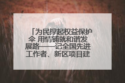 为民撑起权益保护伞 用情铺就和谐发展路——记全国先进工作者、新区项目建设中心干部卢小勇